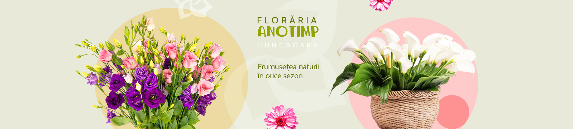 Frumusețea naturii în orice sezon